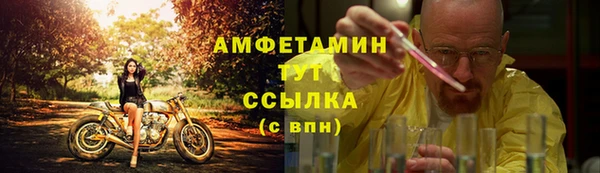 ГАЛЛЮЦИНОГЕННЫЕ ГРИБЫ Надым