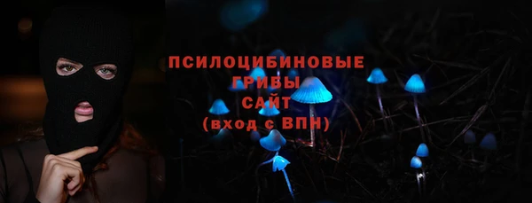 ГАЛЛЮЦИНОГЕННЫЕ ГРИБЫ Надым