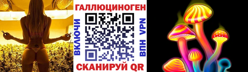 дарк нет наркотические препараты  Одинцово  Галлюциногенные грибы MAGIC MUSHROOMS 